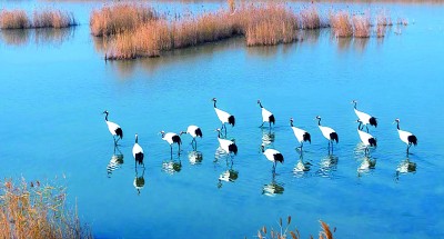 盛夏逐“綠”行——山東推動綠色低碳高質(zhì)量發(fā)展先行區(qū)建設(shè)的實(shí)踐探索 盛夏逐“綠”行——山東推動綠色低碳高質(zhì)量發(fā)展先行區(qū)建設(shè)的實(shí)踐探索